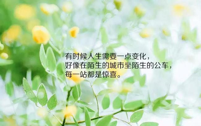 {易贏娛樂}(走心的精辟句子图片)