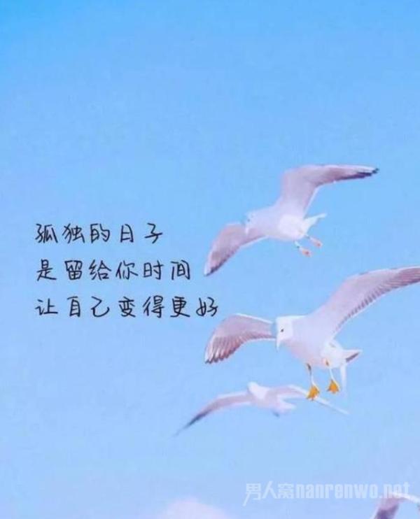 {賭波}(充满生活正能量的句子短句)